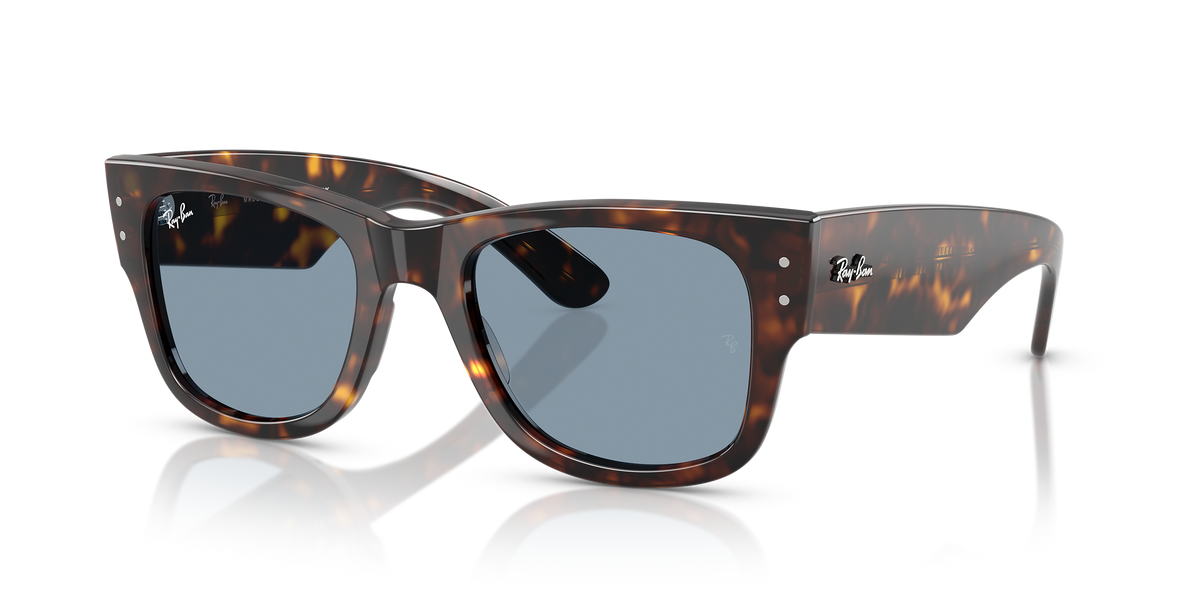 LENTES WAYFARE RAYBAN