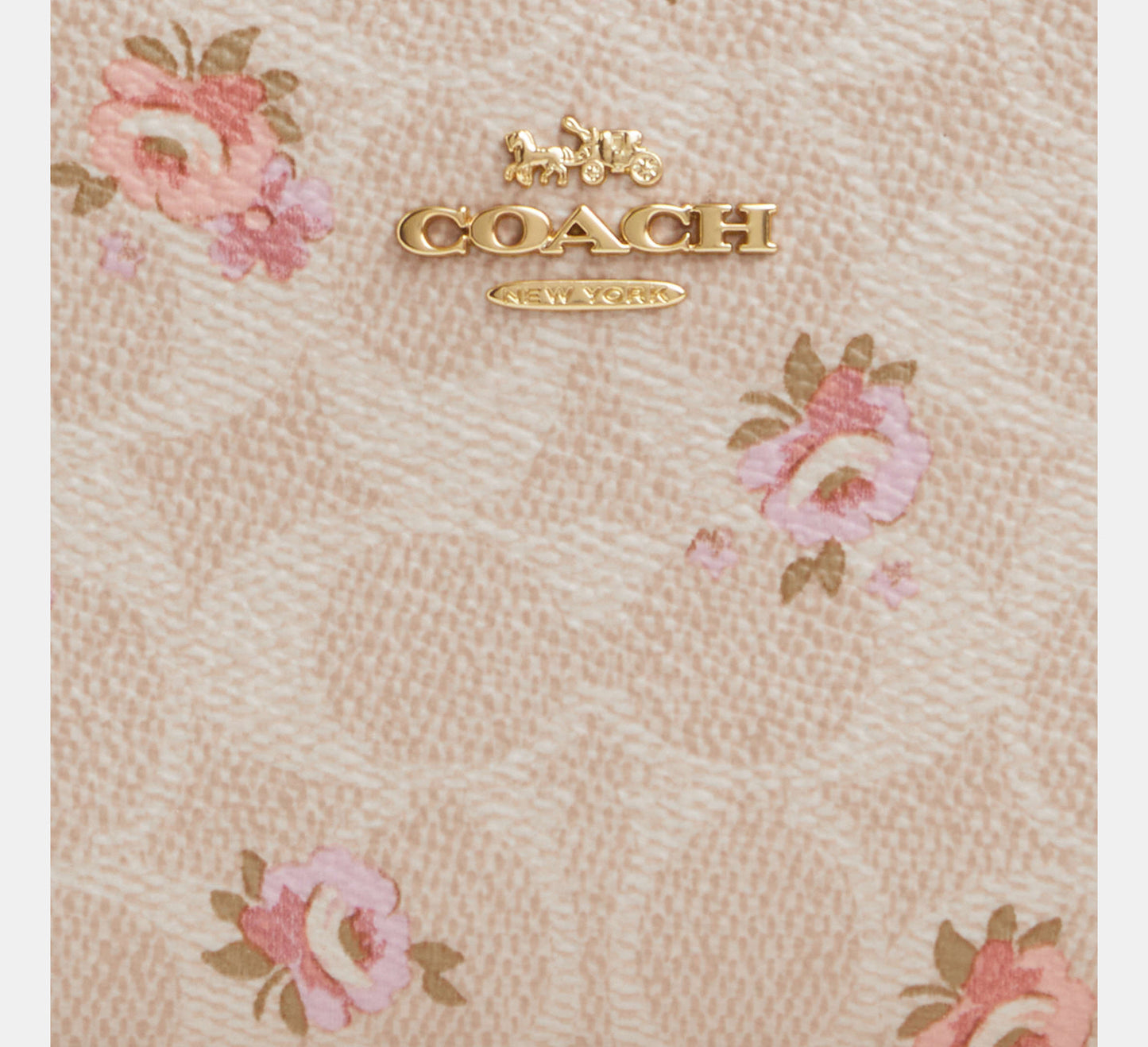 MONEDERO COACH