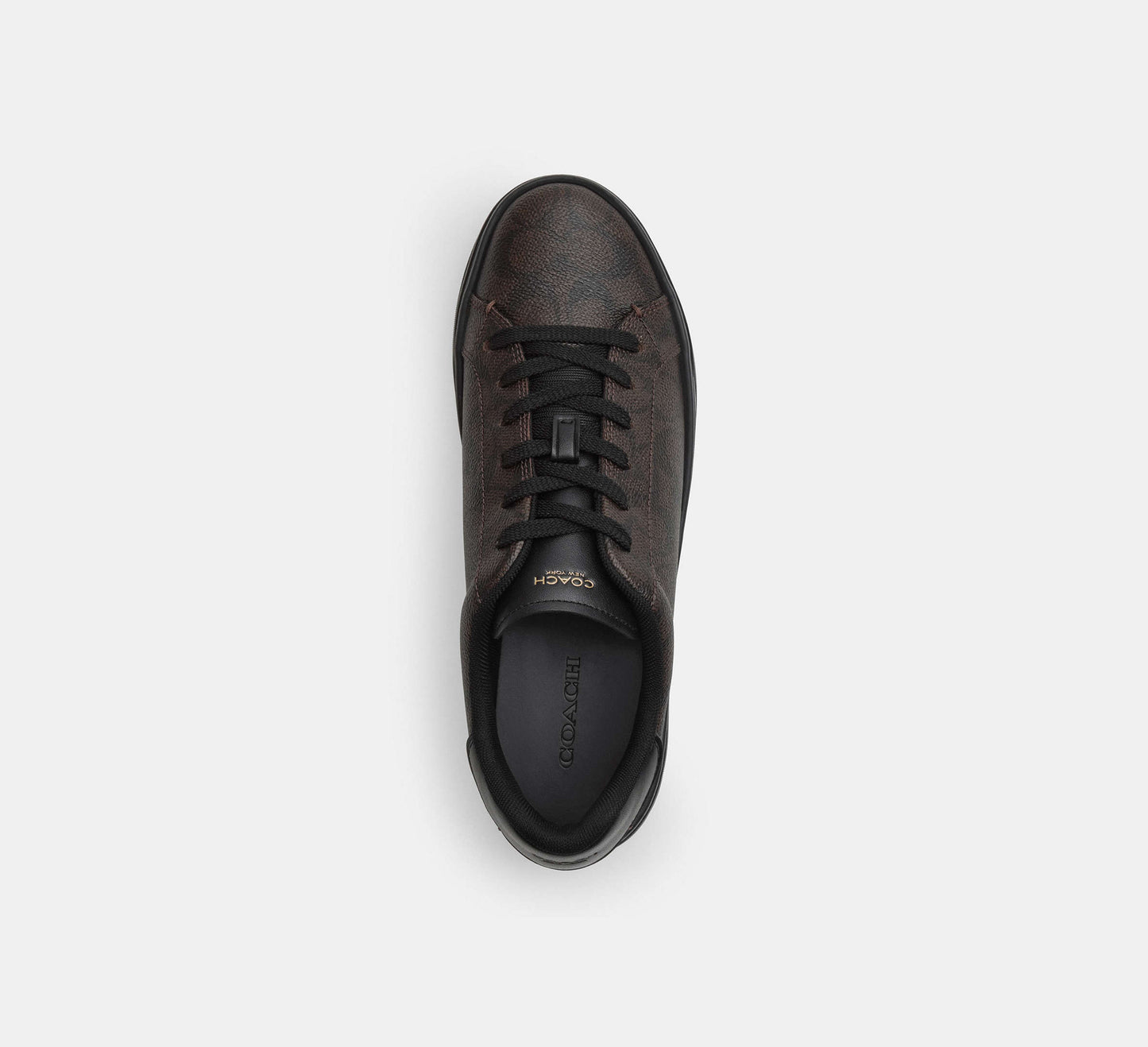 TENIS COACH
