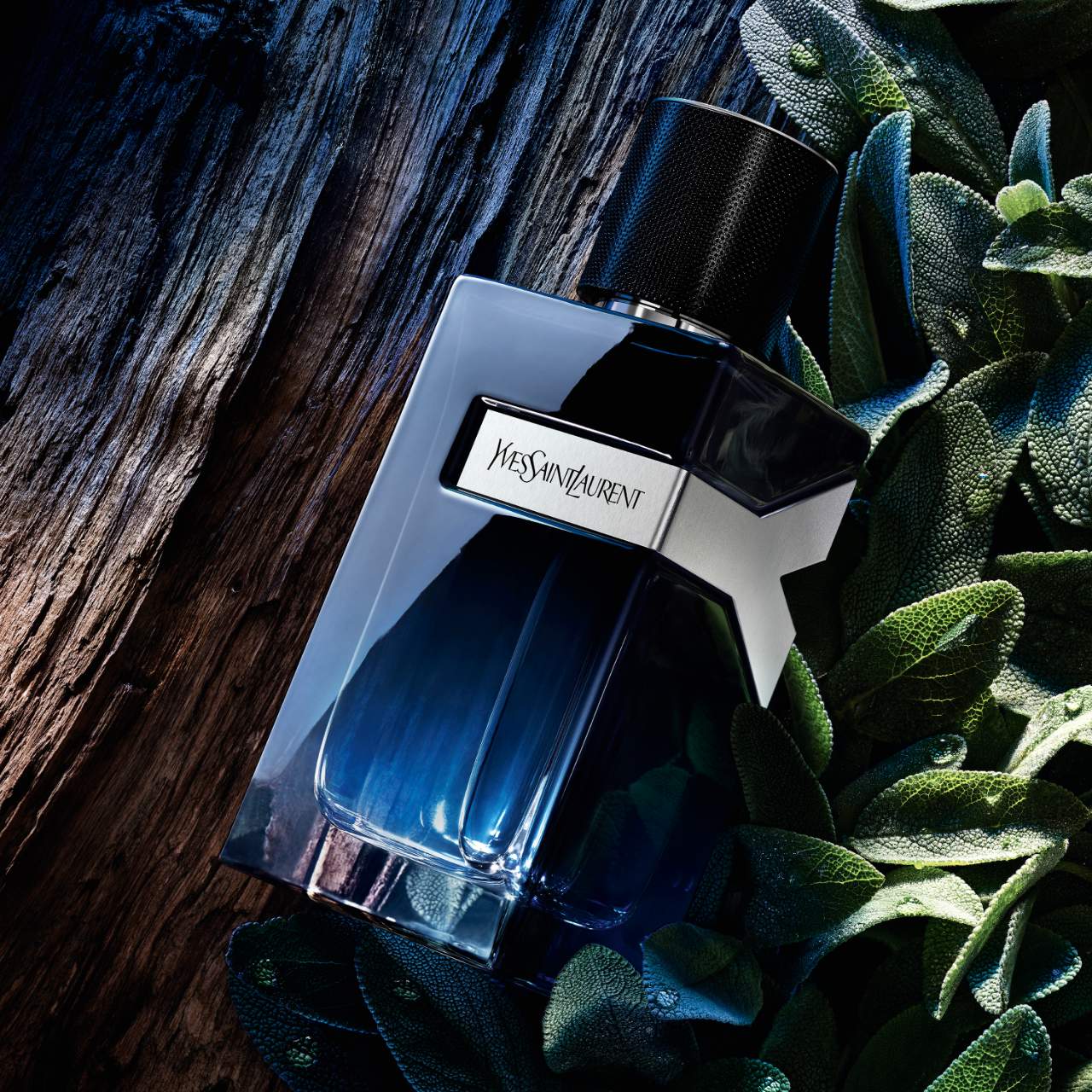SET YVES SAINT LAURENT
