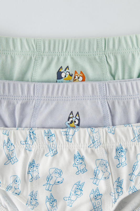 BOXER DE BLUEY ZARA