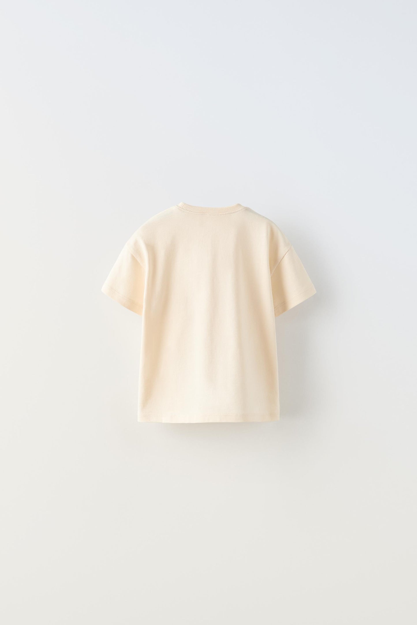 CAMISETA ZARA