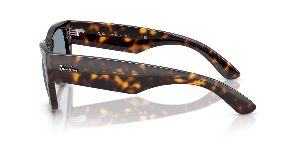 LENTES WAYFARE RAYBAN