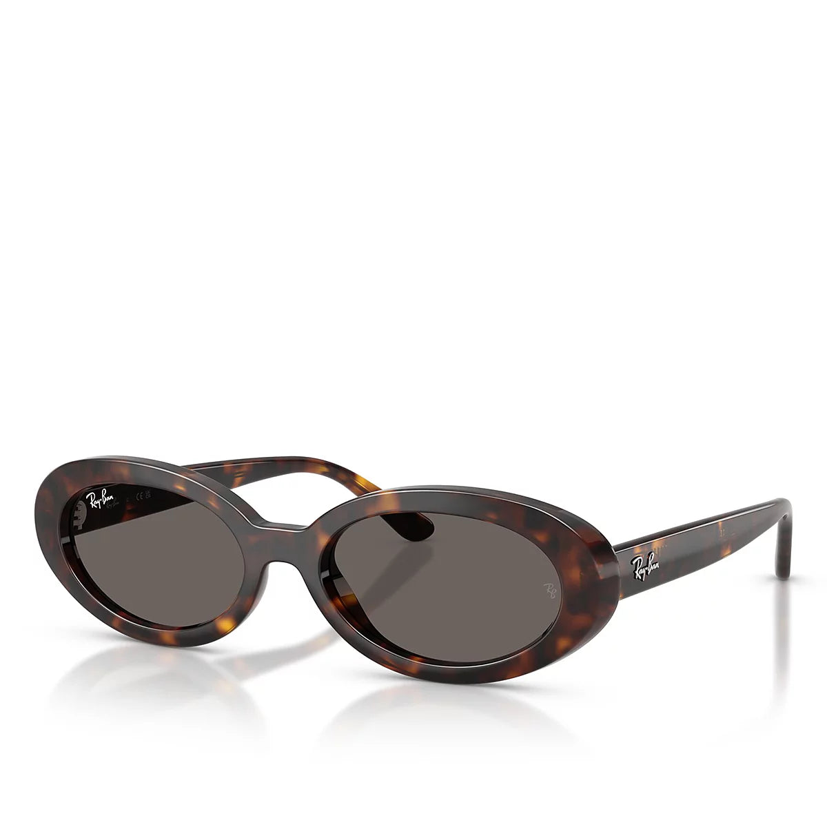 LENTES RAYBAN