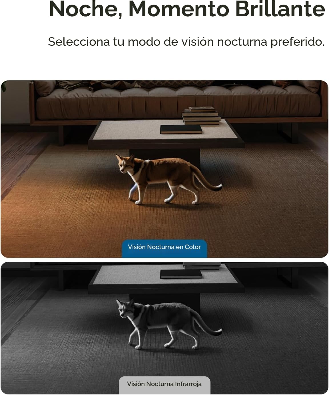 Cámara de seguridad interior eufy Security E30