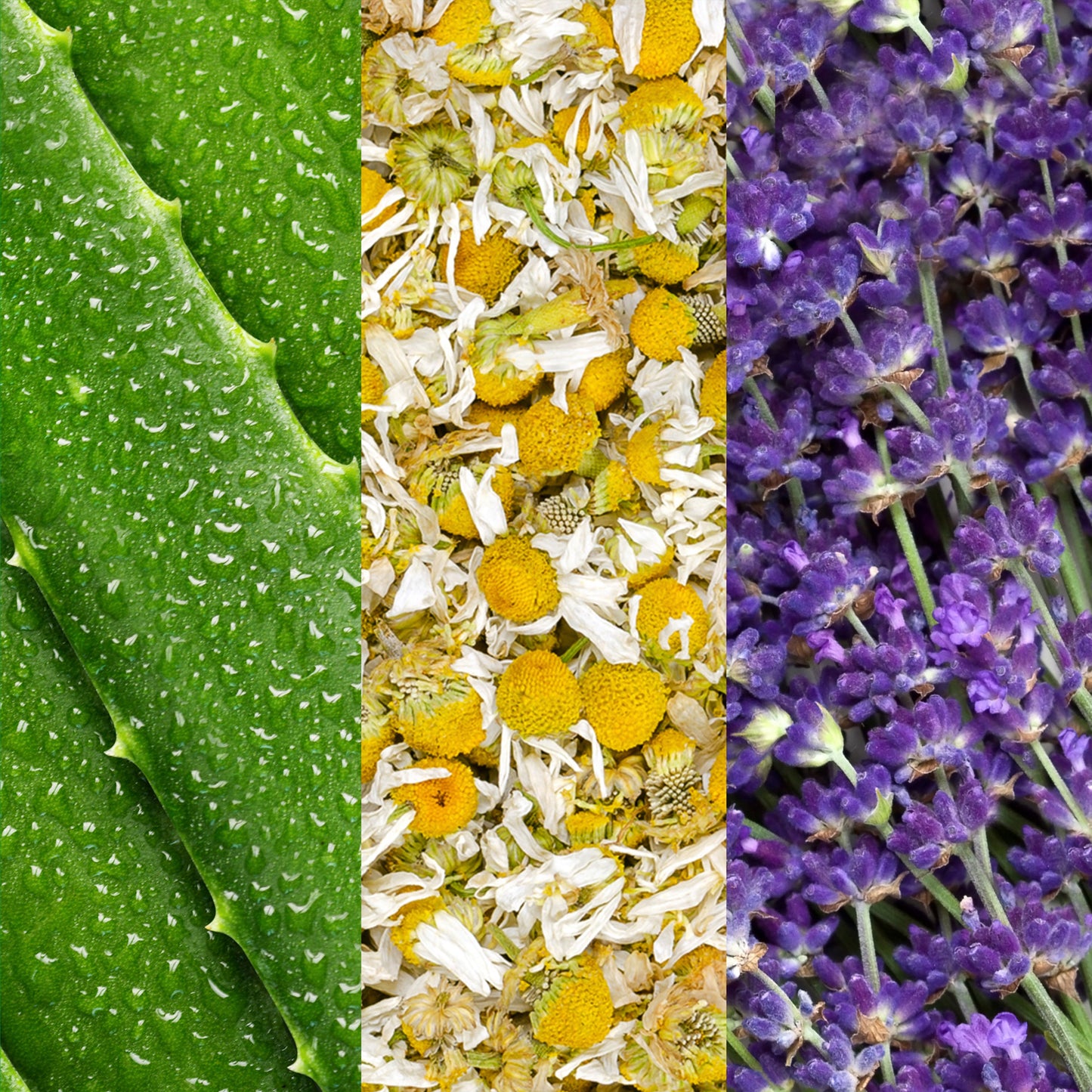 SPRAY FACIAL MARIO BADESCU