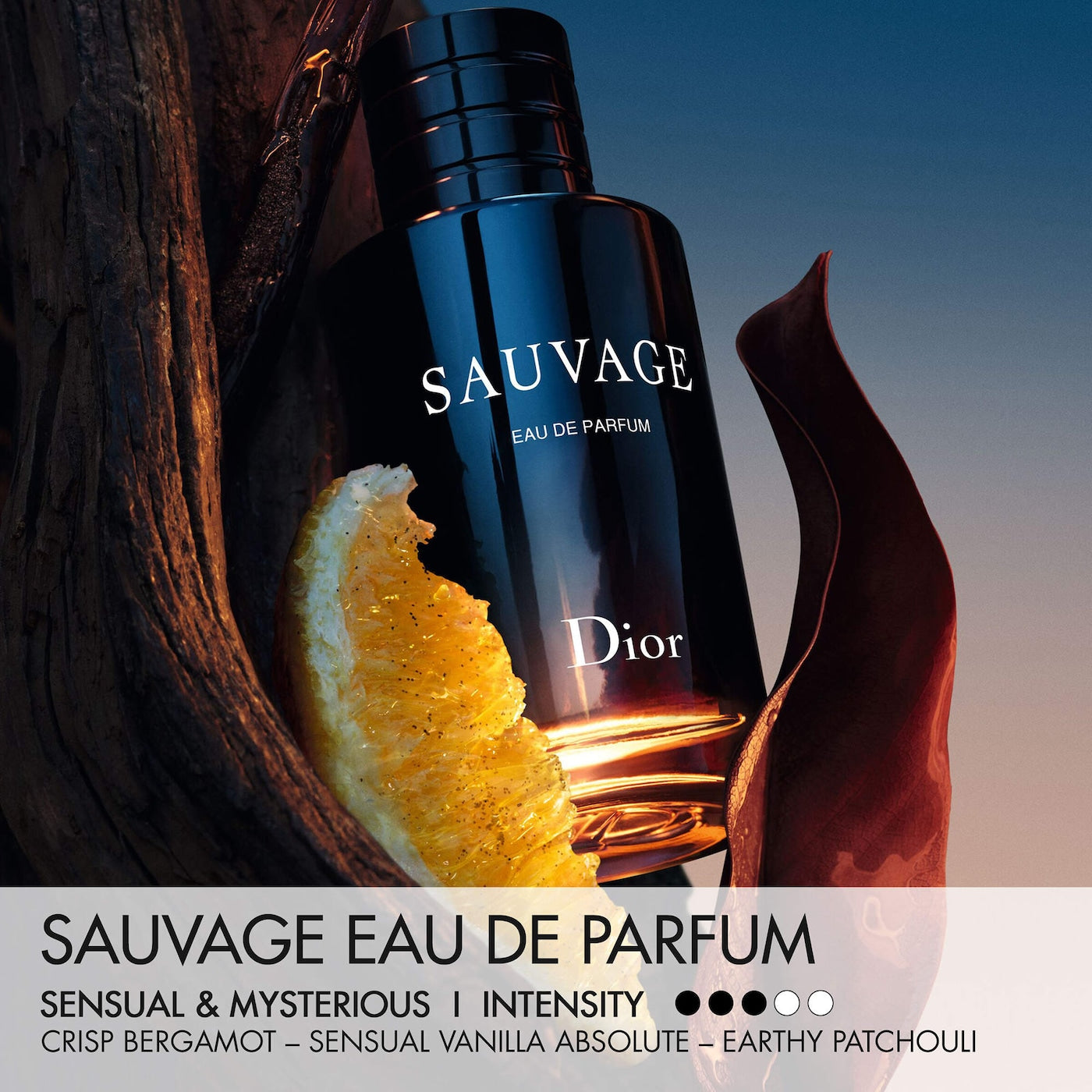 PERFUME SAVAGE DIOR