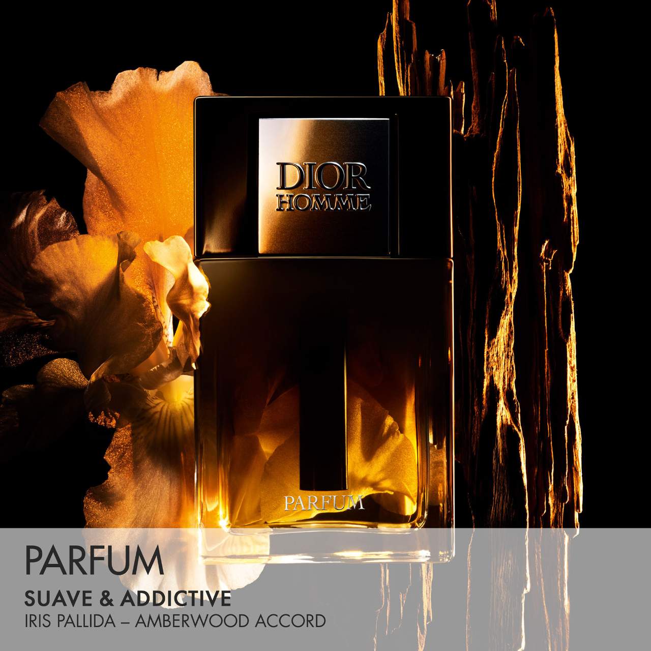 PERFUME DIOR HOMME